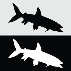 silhouette design of predatory fish that are often kept