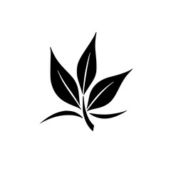 Minimalist Leaf Illustration, Black & White Logo Design