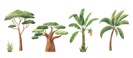 Watercolor palm, banana tree, baobab, eucalyptus. Safari trees, landscape elements illustration for kids