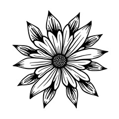 Black and White Floral Illustration, Botanical Line Art Design Element