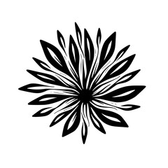 Black & White Floral Burst Illustration - Minimalist Design Element
