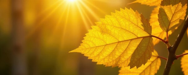 Fototapeta premium sun-kissed yellow leaves with intricate golden veins, golden foliage, warm sunlight