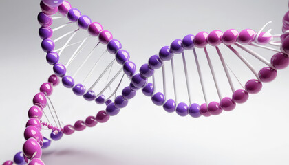 Colorful DNA double helix structure with purple and pink beads, symbolizing genetics and biology