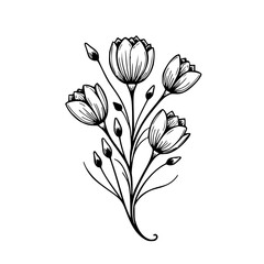 Obraz premium Simple Black & White Floral Illustration - Botanical Line Art