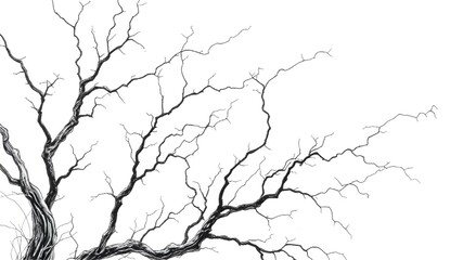 Fototapeta premium dead tree isolated on white