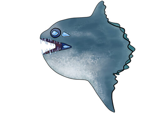 マンボウ