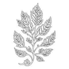 Outline Drawing of Decorative Foliage Branch