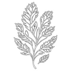 Delicate Outlined Leaf Arrangement on White Space