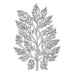 Detailed Botanical Branch Line Art Illustration