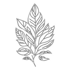 Minimalist Line Art: Botanical Leaf Outline Design