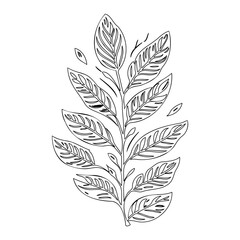 Elegant Leaf Branch Black and White Illustration