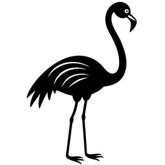 vector illustration of a bird