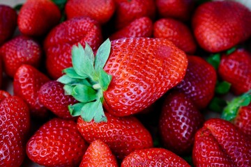 Macro view of juicy ripe strawberries with green tops highlighting freshness and natural red tones for organic food and summer fruit branding