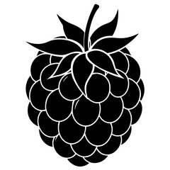 vector illustration of grapes