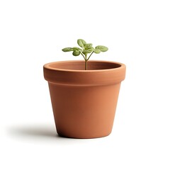 Obraz premium Small Green Plant in Simple Terracotta Flower Pot on White Background for Home Decor