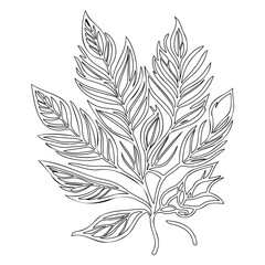 Stylized Leaf Illustration With Intricate Linework