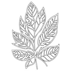 Abstract Outlined Botanical Leaf Illustration