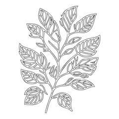 Elegant Botanical Leaf Outline Design Illustration