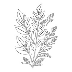 Linear Branch Illustration with Detailed Leaves