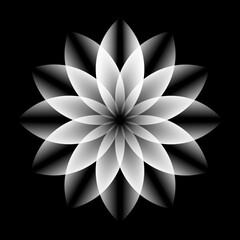 Flower Design Concept