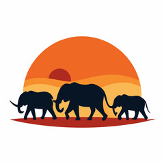 Herd of Elephant walking at Sunset
