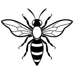 Fototapeta premium Hornet flying with spread wings