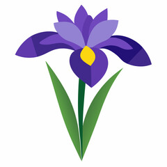 Iris  flower vector illustration