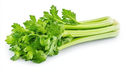 a hyper-detailed centered composition of a fresh celery stalk, with crisp texture and green leaves, 