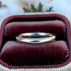 Simple wedding band in velvet ring box, close-up shot, soft focus background, ideal for jewelry websites