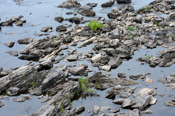 Rocks and water along a shoreline.