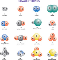 a set of Covalent Bonds Examples and Compounds illustration