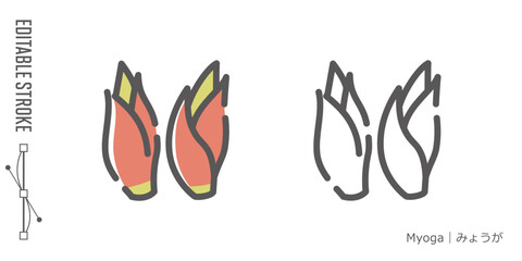 野菜のラインアイコンと色付きアイコンのセット｜みょうが