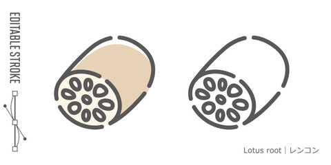 野菜のラインアイコンと色付きアイコンのセット｜レンコン