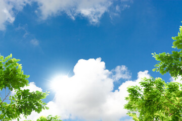 Environmental conservation