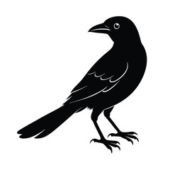 Indian Roller Silhouette Vector | Black and White Indian Roller Bird Illustration