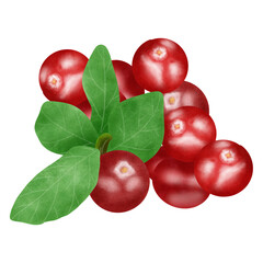 Red Vegetables & Fruits Clipart | Hand Drawn PNG | Red Produce Illustration | Watercolor Style | Digital Download | Food Clip Art