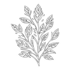 Botanical Line Art Illustration with Foliage