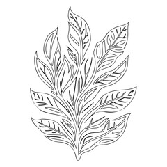 Leafy Vector Design: Isolated Tropical Foliage Print