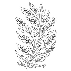 Obraz premium Elegant Botanical Line Drawing with Lush Leaves