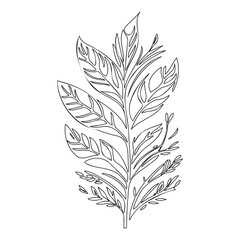 Monochrome Leafy Branch Botanical Outline Design