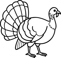 turkey outline vector illustration line art