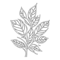 Leafy Sprig Design Illustration with Clean Lines