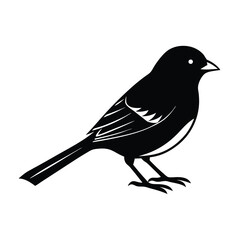 Junco Silhouette Vector | Black and White Junco Bird Illustration Art