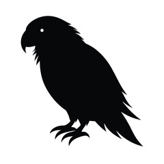 Kakapo Silhouette Vector Art | Black and White Kakapo Bird Illustration