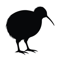 Kiwi Silhouette Vector Art | Black and White Kiwi Bird Illustration