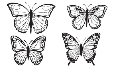 Fototapeta premium Elegant Butterfly Set – Black and White Line Art