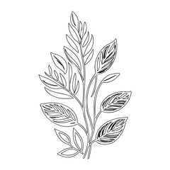 Abstract foliage line art on a blank background