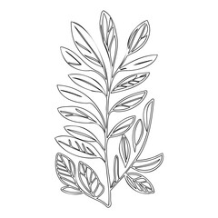 Obraz premium Linear Botanical Branch Vector Illustration Art