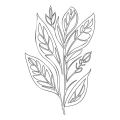 Linear Botanical Illustration with Floral Pattern