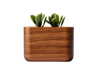 Office equipment cutout background with decorative plant minimalist workspace modern aesthetic indoor environment